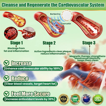 𝑪𝒐𝒎𝒑𝒍𝒆𝒕𝒆𝒍𝒚 𝒓𝒆𝒗𝒂𝒎𝒑𝒆𝒅🇦🇺| 🌿DR. Fachmer® 𝑴𝒐𝒓𝒊𝒏𝒈𝗮 · 𝗕𝗲𝗿𝗯𝗲𝗿𝙞𝙣𝙚 × 𝙉𝘼𝐃+ 𝟏𝟎-𝐢𝐧-𝟏 𝗔𝗱𝘃𝗮𝗻𝗰𝙚𝙙 𝙉𝙖𝙣𝙤 𝙈𝙞𝙘𝙧𝙤𝙣𝙚𝙚𝐝𝐥𝐞 𝐏𝐚𝐭𝙘𝙝 |✨𝑩𝒂𝒄𝒌𝒆𝒅 𝒃𝒚 𝒔𝒄𝒊𝒆𝒏𝒄𝒆 | 𝟭𝟬-𝙞𝓷-𝟏 𝒇𝒐𝒓𝒎𝒖𝒍𝒂 | 𝑹𝒆𝒔𝒖𝒍𝒕𝒔 𝒊𝒏 7 𝒅𝒂𝒚𝒔🙌