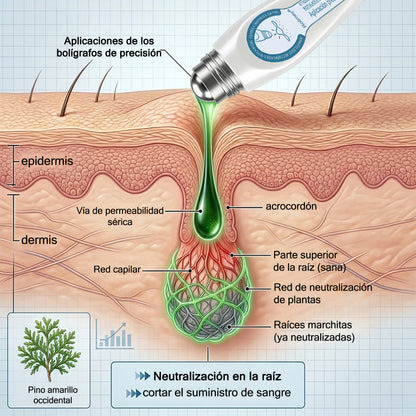 ✅Rolimey® Roll-on eliminador de verrugas cutáneas y manchas (tratamiento de 7 días)👩‍⚕️